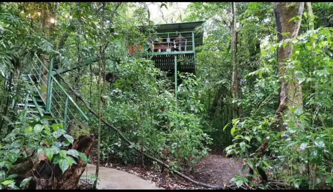 Jungle Living Tree Houses Monteverde Εξωτερικό φωτογραφία