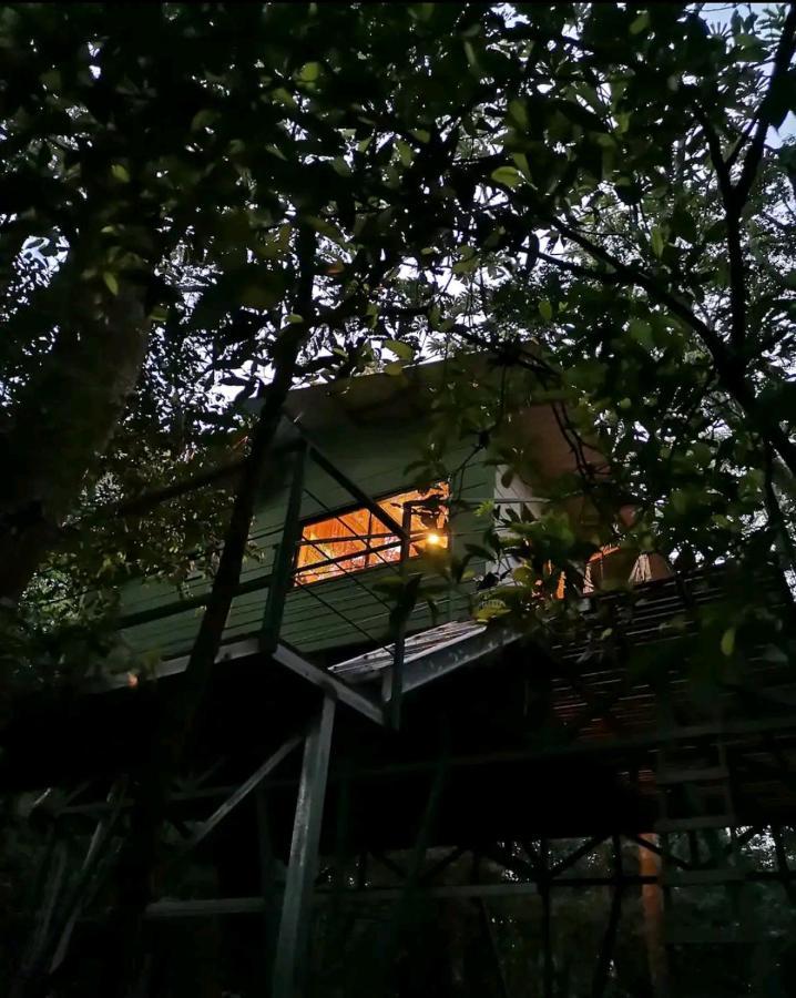 Jungle Living Tree Houses Monteverde Εξωτερικό φωτογραφία