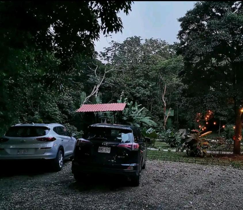 Jungle Living Tree Houses Monteverde Εξωτερικό φωτογραφία