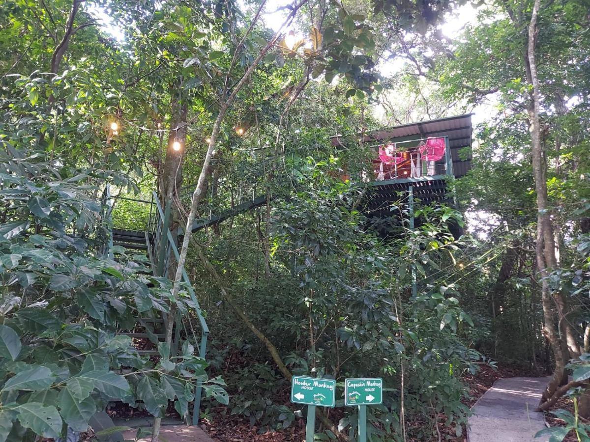 Jungle Living Tree Houses Monteverde Εξωτερικό φωτογραφία