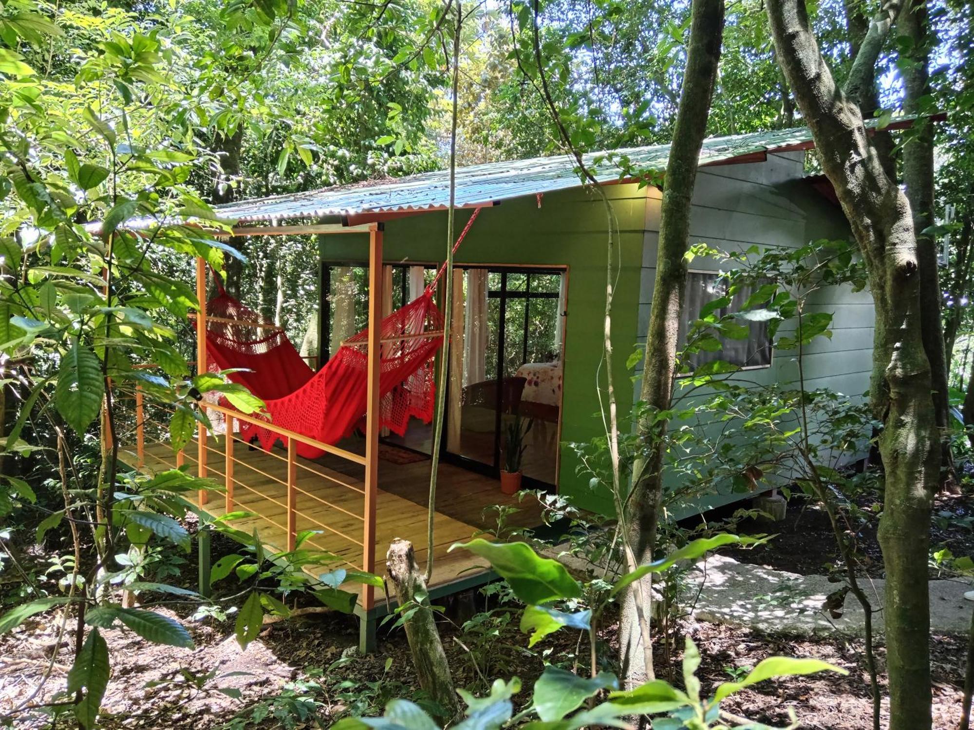 Jungle Living Tree Houses Monteverde Εξωτερικό φωτογραφία