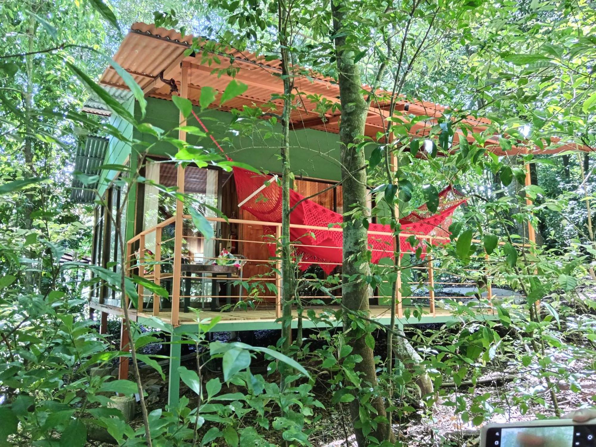 Jungle Living Tree Houses Monteverde Εξωτερικό φωτογραφία