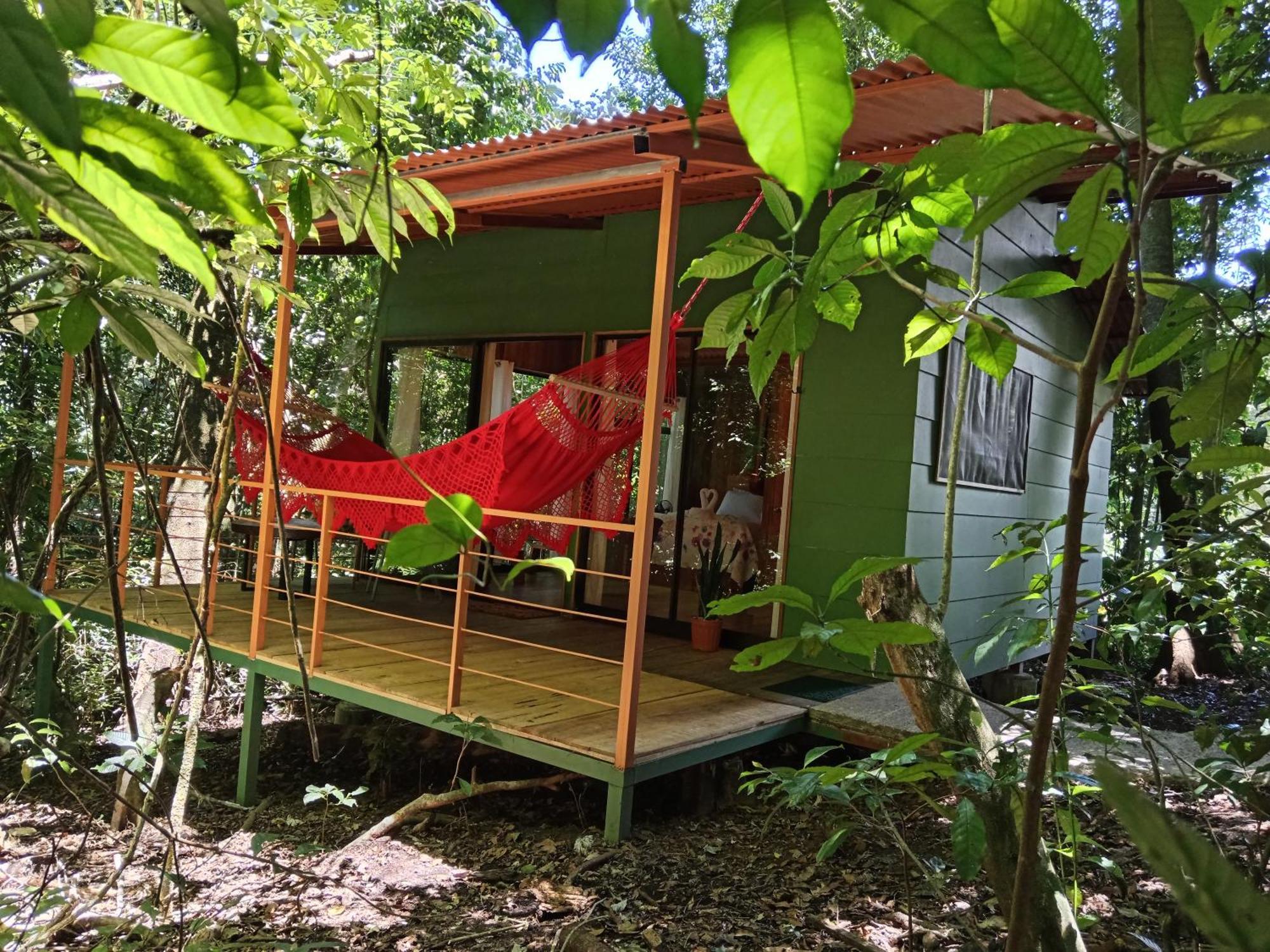 Jungle Living Tree Houses Monteverde Εξωτερικό φωτογραφία