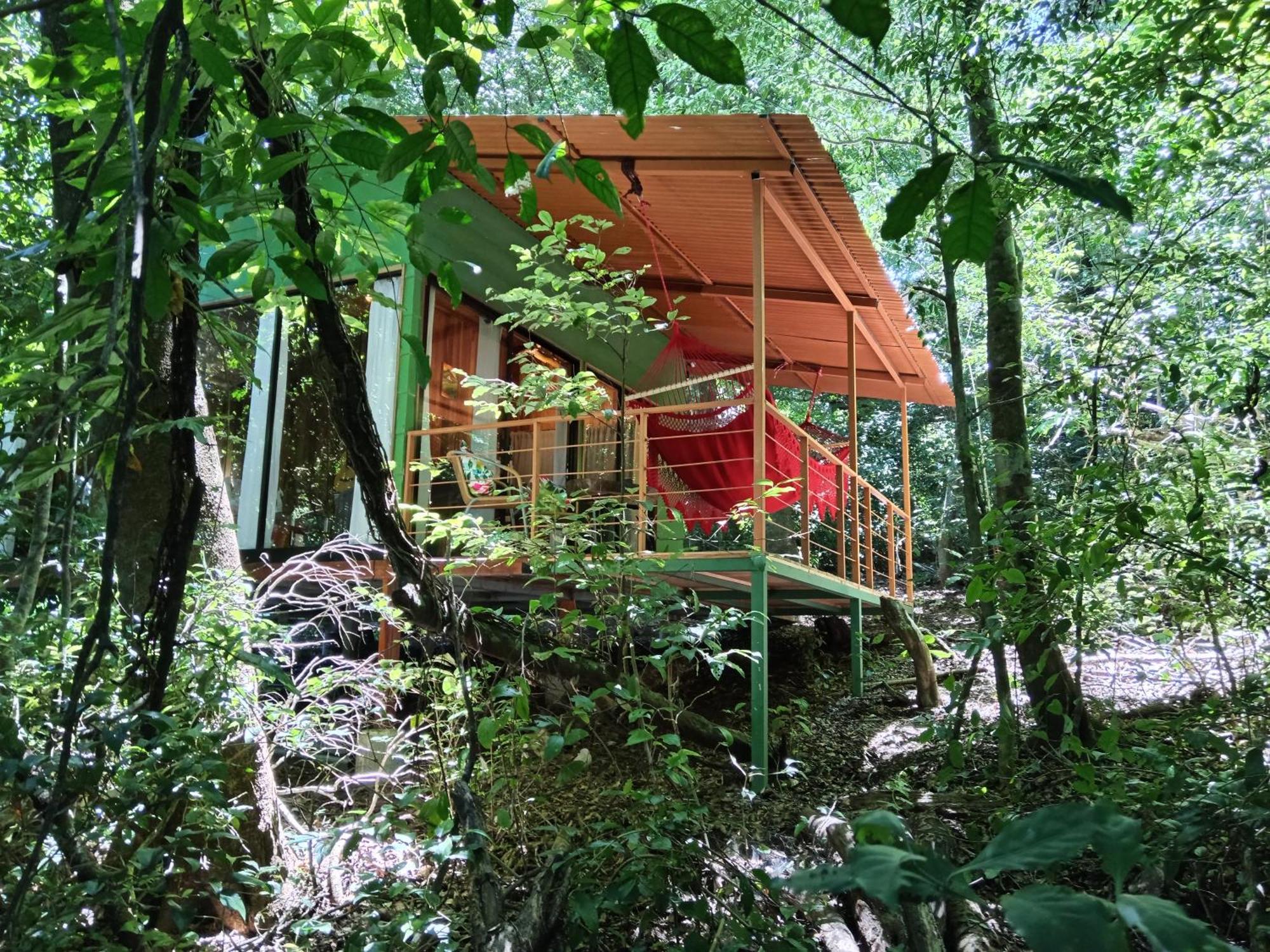 Jungle Living Tree Houses Monteverde Εξωτερικό φωτογραφία