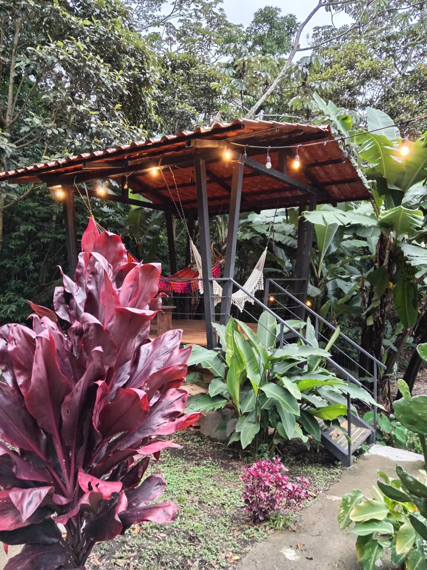 Jungle Living Tree Houses Monteverde Εξωτερικό φωτογραφία
