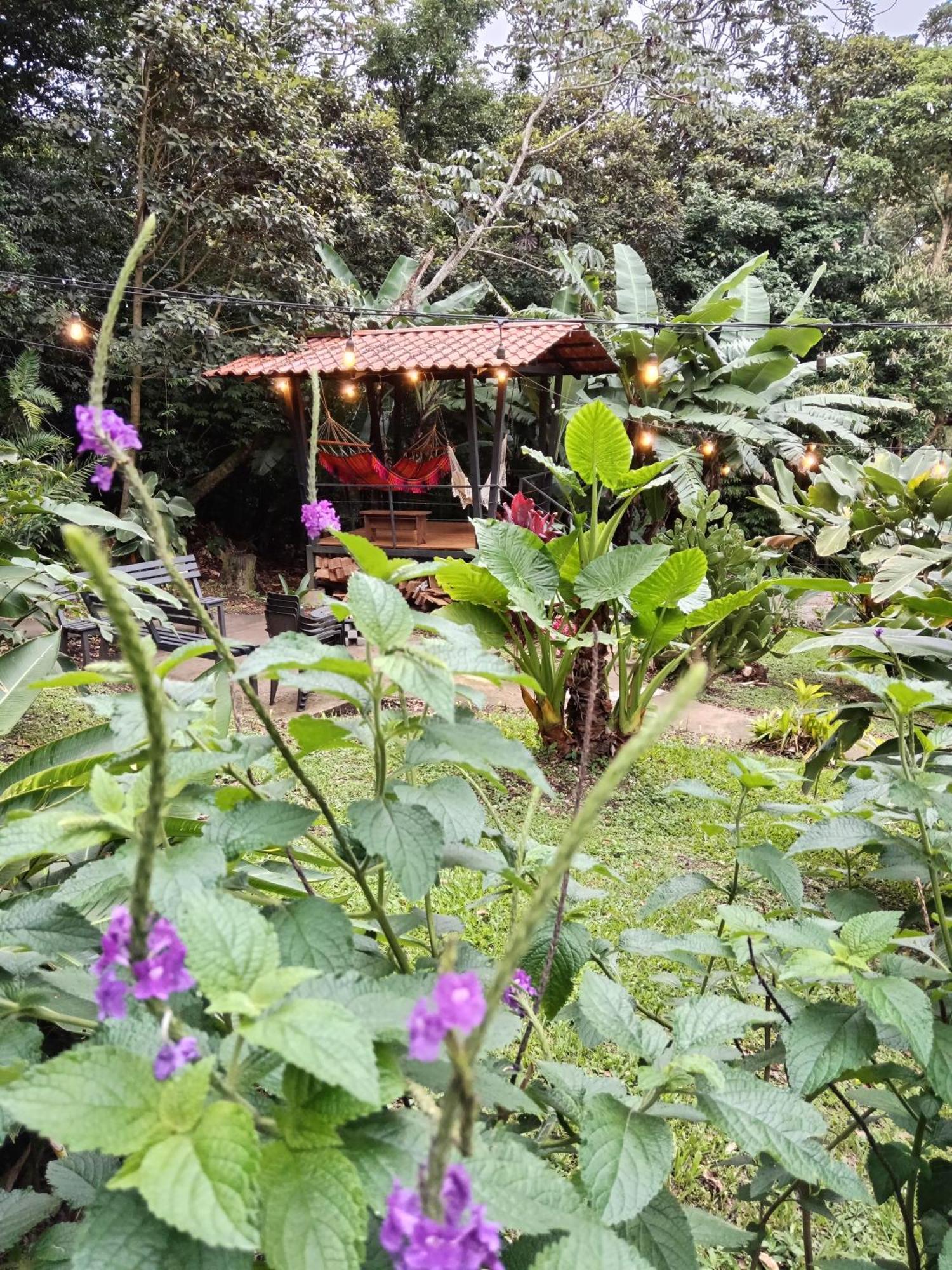 Jungle Living Tree Houses Monteverde Εξωτερικό φωτογραφία