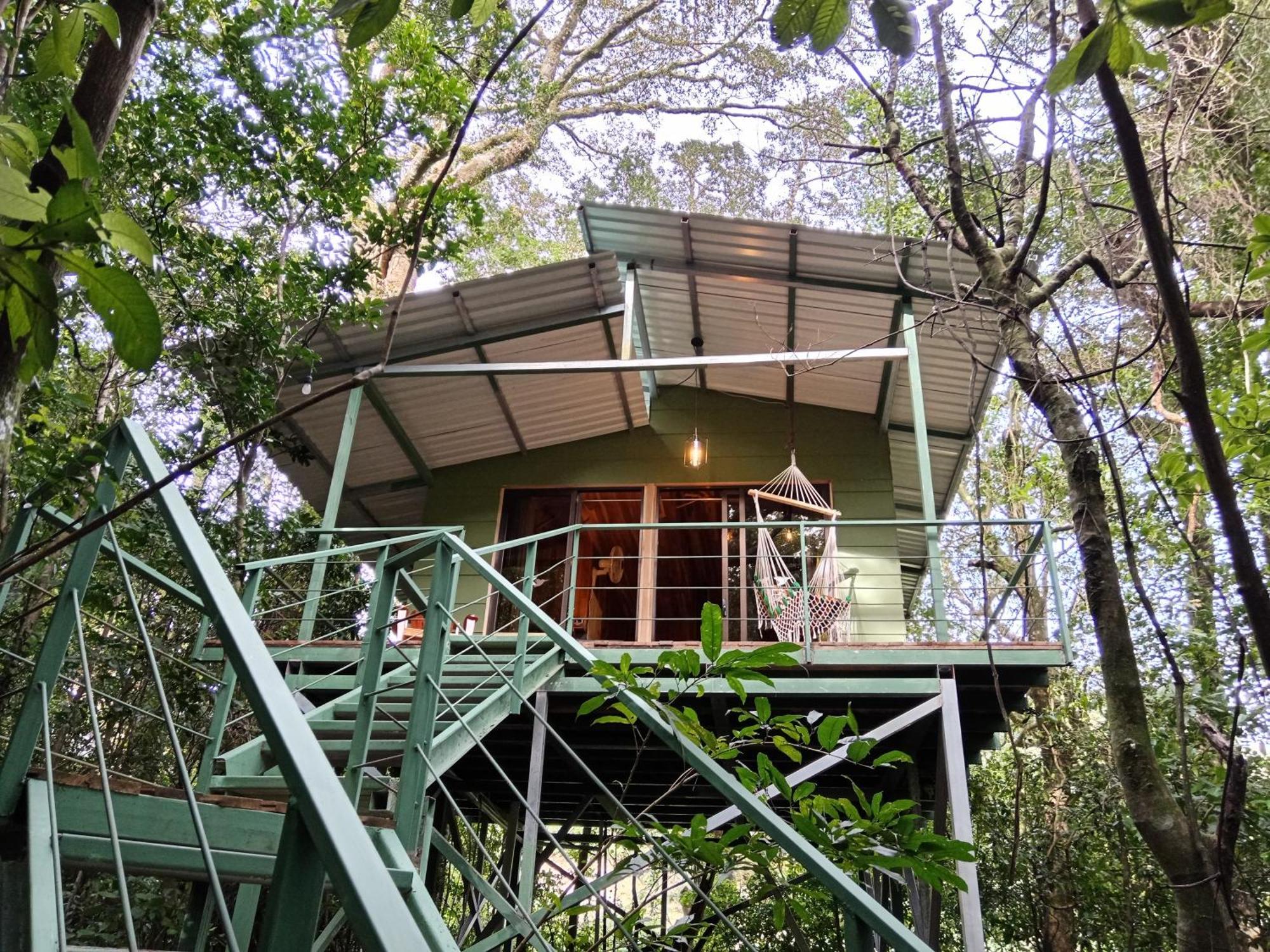 Jungle Living Tree Houses Monteverde Εξωτερικό φωτογραφία