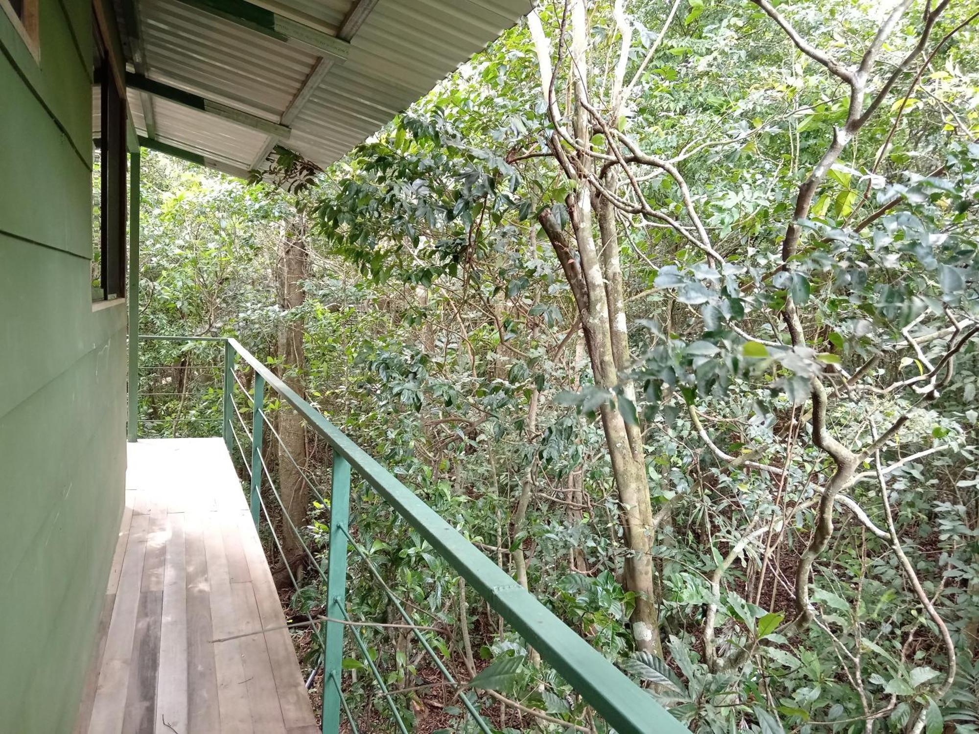 Jungle Living Tree Houses Monteverde Εξωτερικό φωτογραφία
