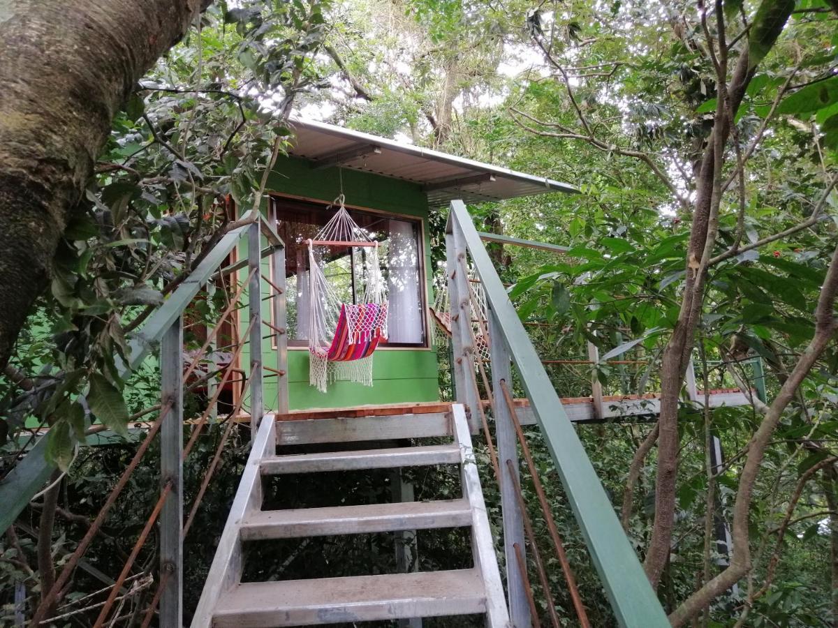Jungle Living Tree Houses Monteverde Εξωτερικό φωτογραφία